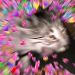 Meet your Posher, Angelena